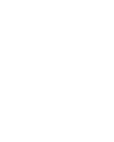 Public Holidays Logo